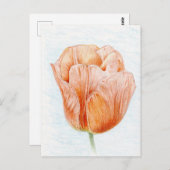 Tulp in prachtige kleurenweergave briefkaart (Voorkant / Achterkant)