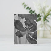 Tulp in zwart-wit Briefkaart (Staand voorkant)