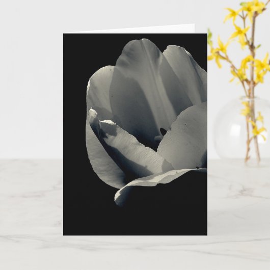 Tulp in zwart-wit kaart (Gele Bloem)