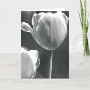 Tulp in Zwart-wit Kaart
