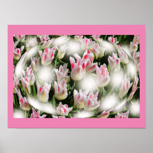 Tulp inspiraties poster (Voorkant)