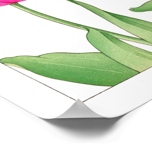 Tulp, Japanse houtblokkunst Poster (Hoek)