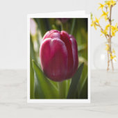 Tulp Kaart (Gele Bloem)