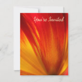 Tulp Kaart (Voorkant)