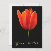 Tulp Kaart (Voorkant)