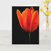 Tulp Kaart (Gele Bloem)