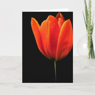 Tulp Kaart