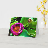 Tulp, kaart (Gele Bloem)
