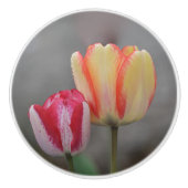 Tulp Keramische knop (Voorkant)