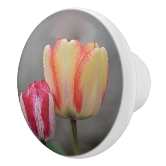 Tulp Keramische knop (Rechts)