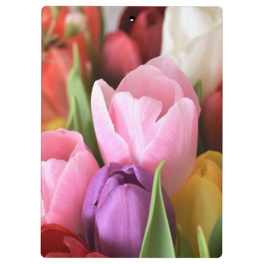Tulp Klembord (Achterkant)