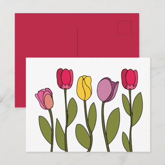 Tulp Kleurrijke Bloemen Tulp Briefkaart (Voorkant / Achterkant)