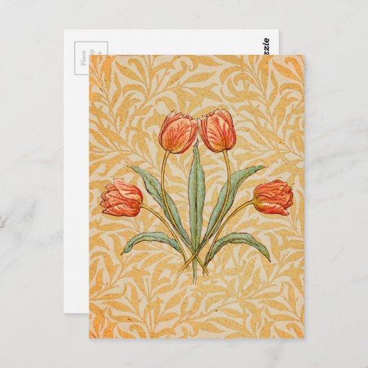 Tulp  koraal rustieke grillige wervelingen briefkaart (Voorkant / Achterkant)