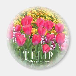 Tulp Magneet