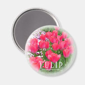 Tulp Magneet (Voorkant / Achterkant)