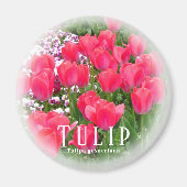 Tulp Magneet (Voorkant)