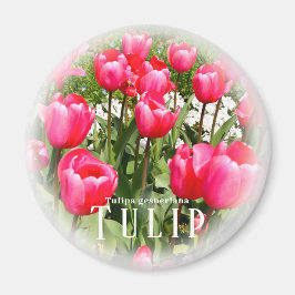 Tulp Magneet