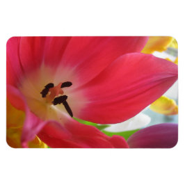 Tulp Magneet