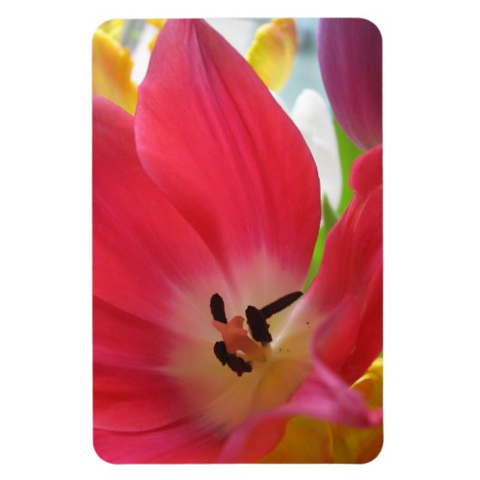 Tulp Magneet (Verticaal)