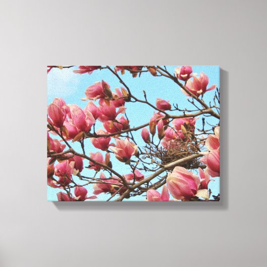 Tulp Magnolia boom met Birdsnest op Canvas Afdruk (Voorkant)