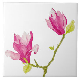 Tulp Magnolia's op een keramische Tegel (1) Tegeltje