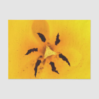 Tulp meeldraad en stuifmeel tissuepapier