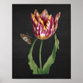 Tulp met Afbeelding Black Chalkboard, achtergrond  Poster (Voorkant)