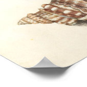 Tulp met schelpen botanische illustratie poster (Hoek)