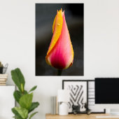 Tulp met waterdruppels 2 poster (Thuiskantoor)