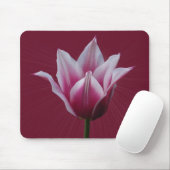 Tulp met zonnestraal ~ mousepad muismat (Met muis)