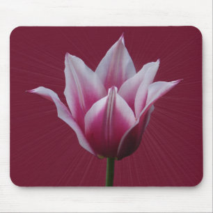 Tulp met zonnestraal ~ mousepad muismat