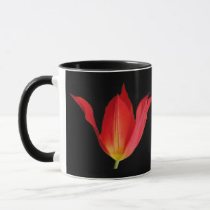 Tulp-Mok Mok