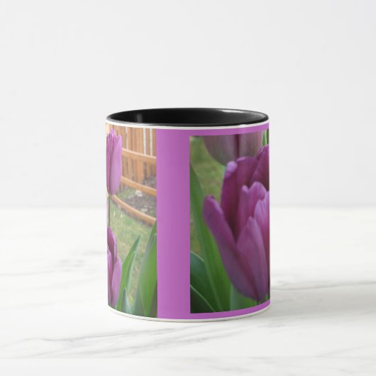 Tulp-Mok Mok (Midden)