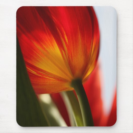 Tulp Muismat (Voorkant)