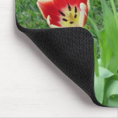 Tulp muismat (Hoek)