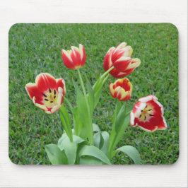 Tulp muismat