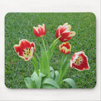 Tulp muismat
