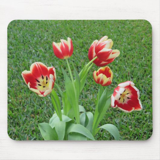 Tulp muismat (Voorkant)