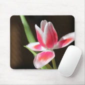 Tulp Muismat (Met muis)
