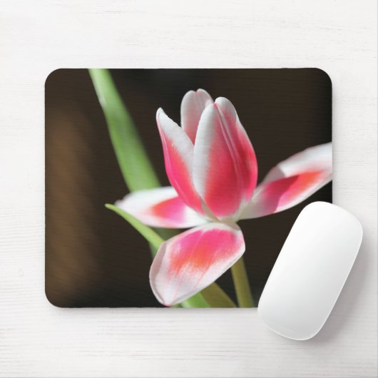 Tulp Muismat (Met muis)