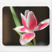 Tulp Muismat (Voorkant)
