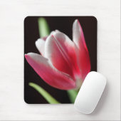 Tulp Muismat (Met muis)