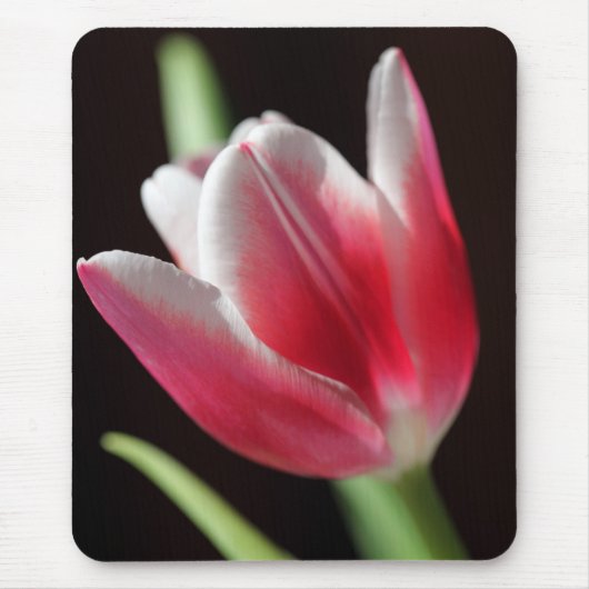 Tulp Muismat (Voorkant)