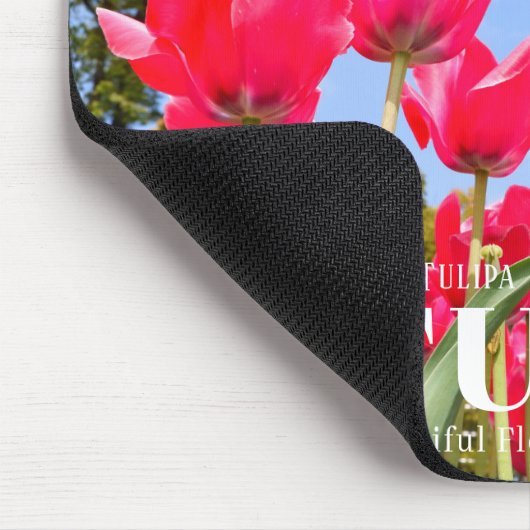 Tulp Muismat (Hoek)