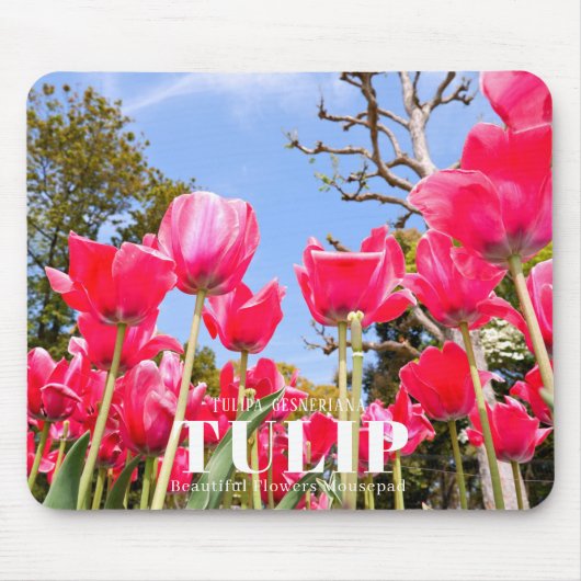 Tulp Muismat (Voorkant)