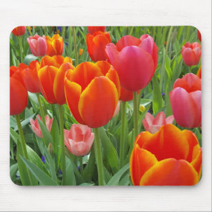 Tulp Muismat