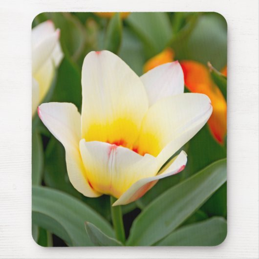 Tulp Muismat (Voorkant)