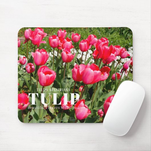 Tulp Muismat (Met muis)