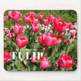 Tulp Muismat