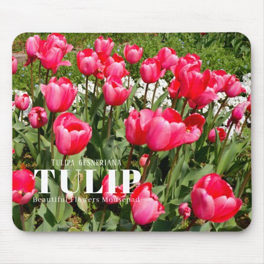 Tulp Muismat (Voorkant)